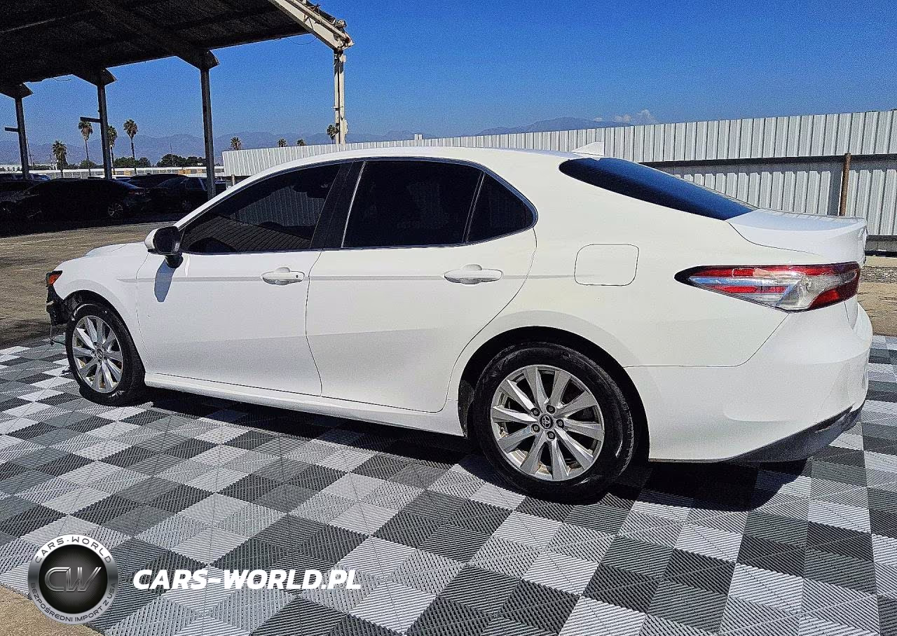 2019 Toyota Camry Le VIN:4T1B11HK3KU263107 - 2