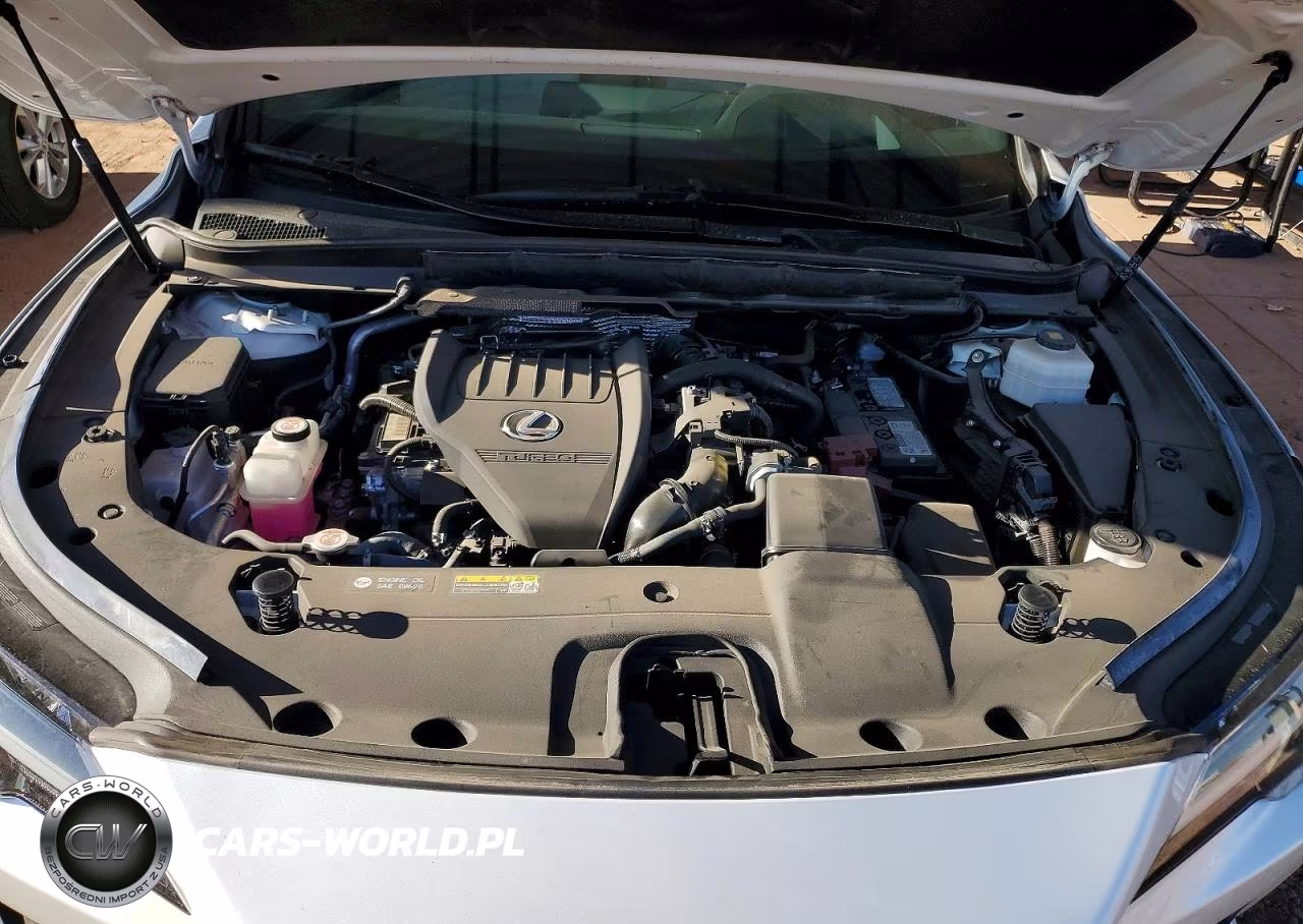 2024 Lexus Rx 350 Premium+ VIN:2T2BAMBA3RC031437 - 12
