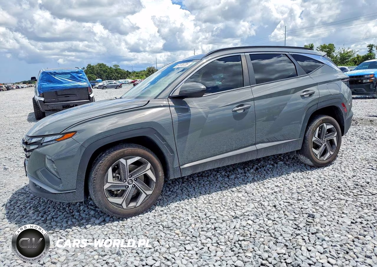 2024 Hyundai Tucson Sel VIN:5NMJFCDEXRH323463 - 1