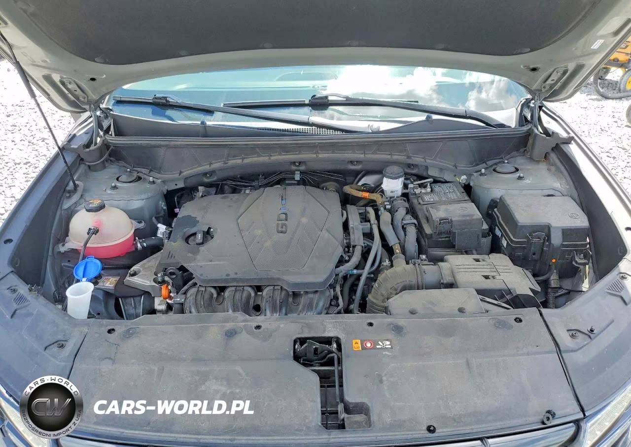 2024 Hyundai Tucson Sel VIN:5NMJFCDEXRH323463 - 12