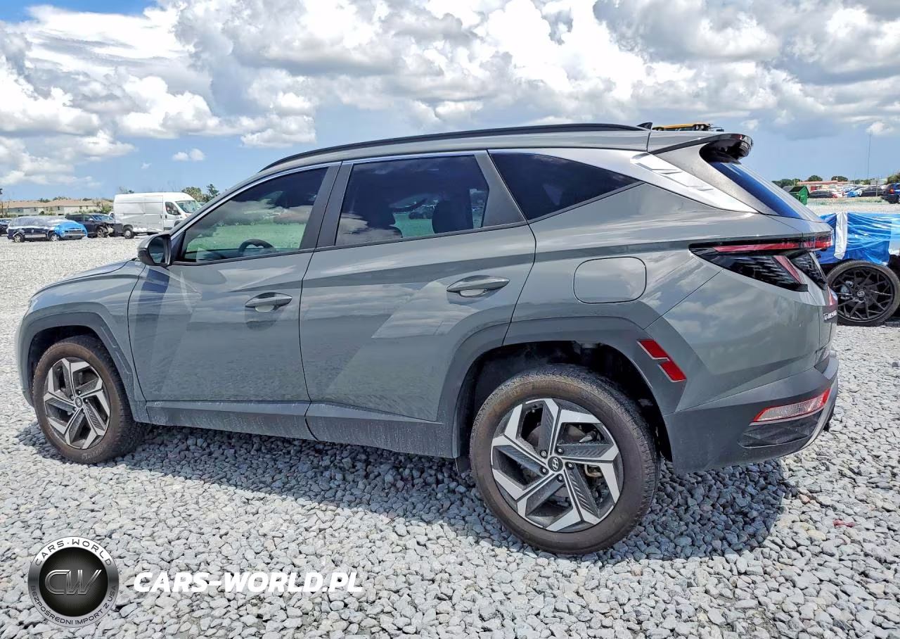 2024 Hyundai Tucson Sel VIN:5NMJFCDEXRH323463 - 2