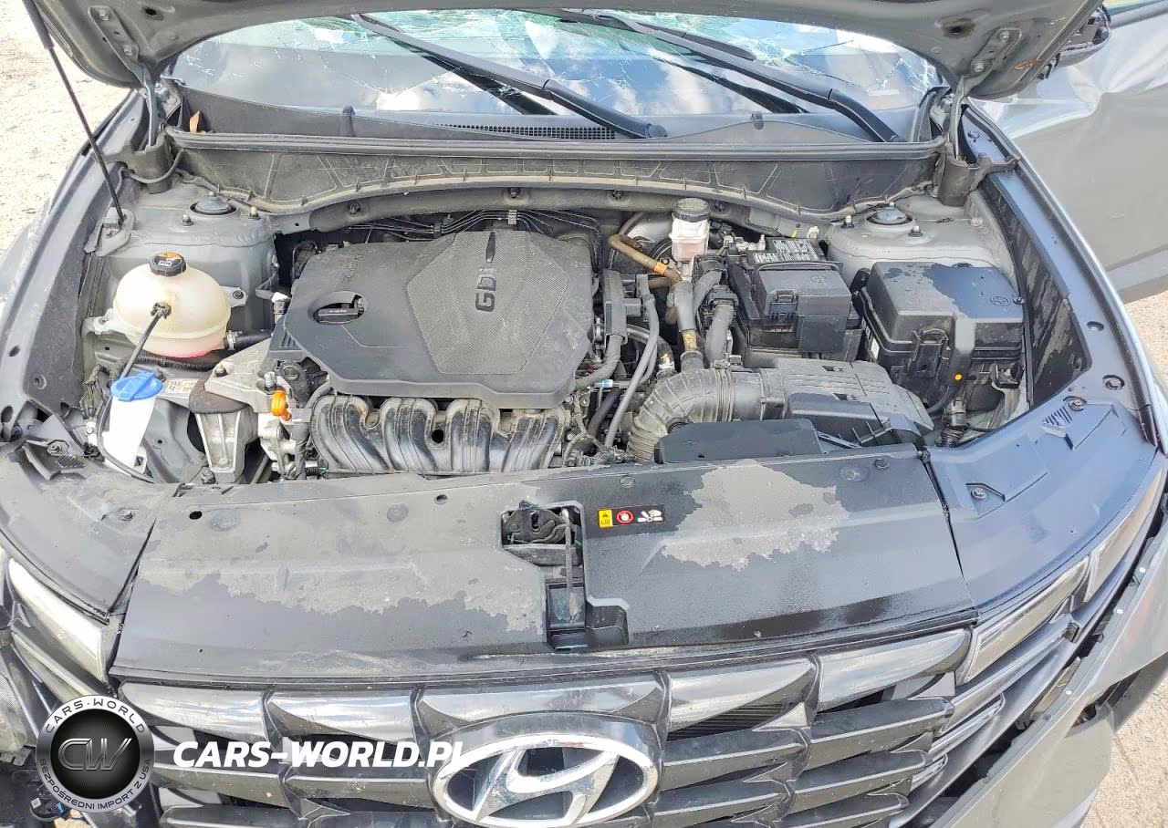 2024 Hyundai Tucson Sel VIN:5NMJB3DE9RH386971 - 11