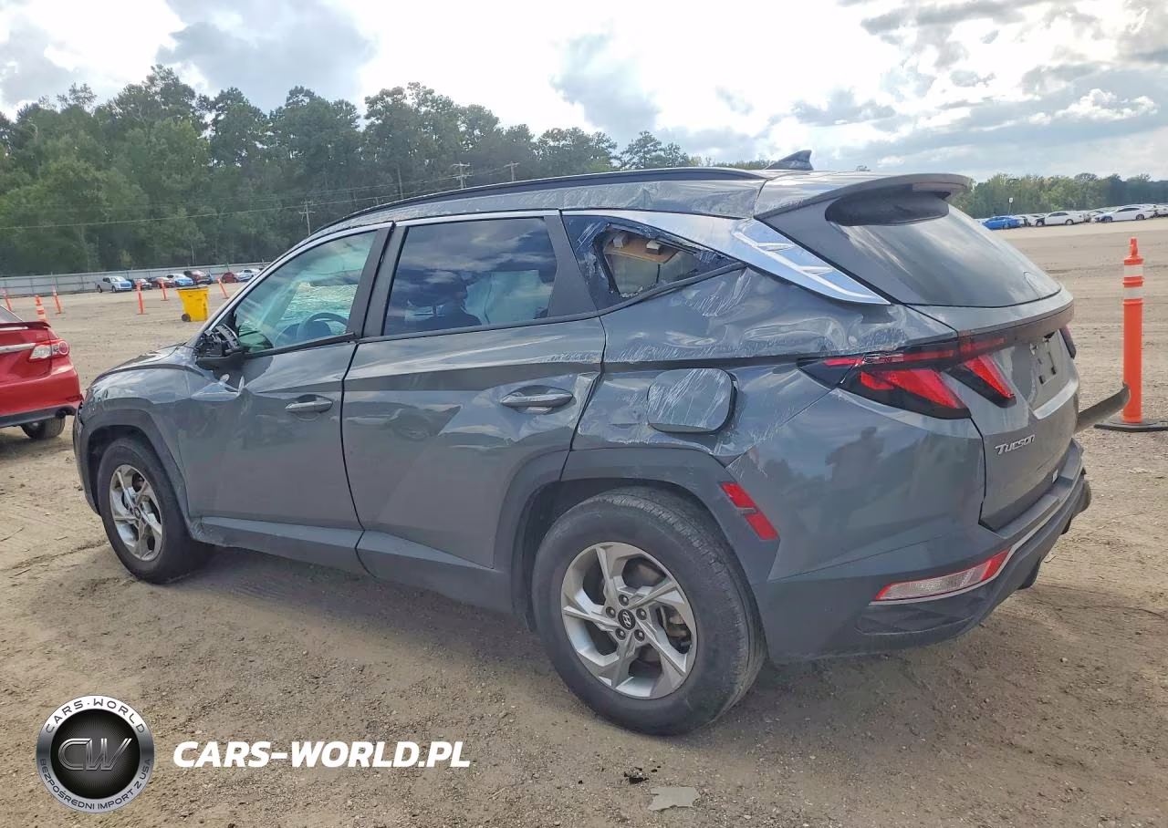 2024 Hyundai Tucson Sel VIN:5NMJB3DE9RH386971 - 2