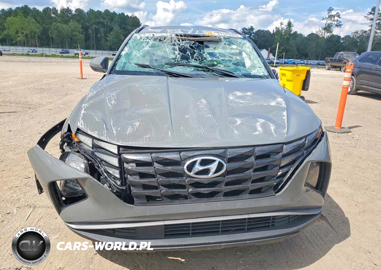 2024 Hyundai Tucson Sel VIN:5NMJB3DE9RH386971 - 5