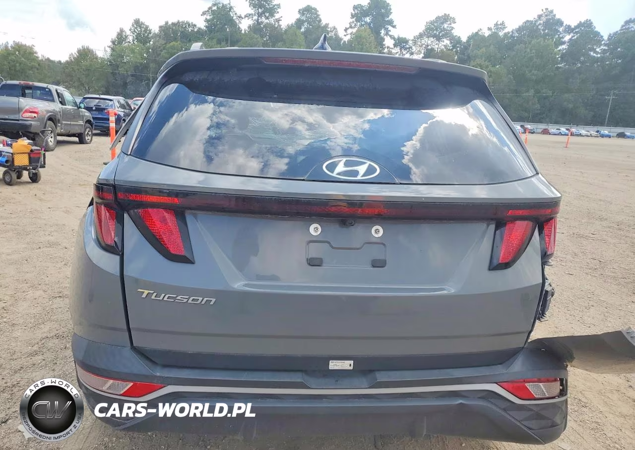 2024 Hyundai Tucson Sel VIN:5NMJB3DE9RH386971 - 6