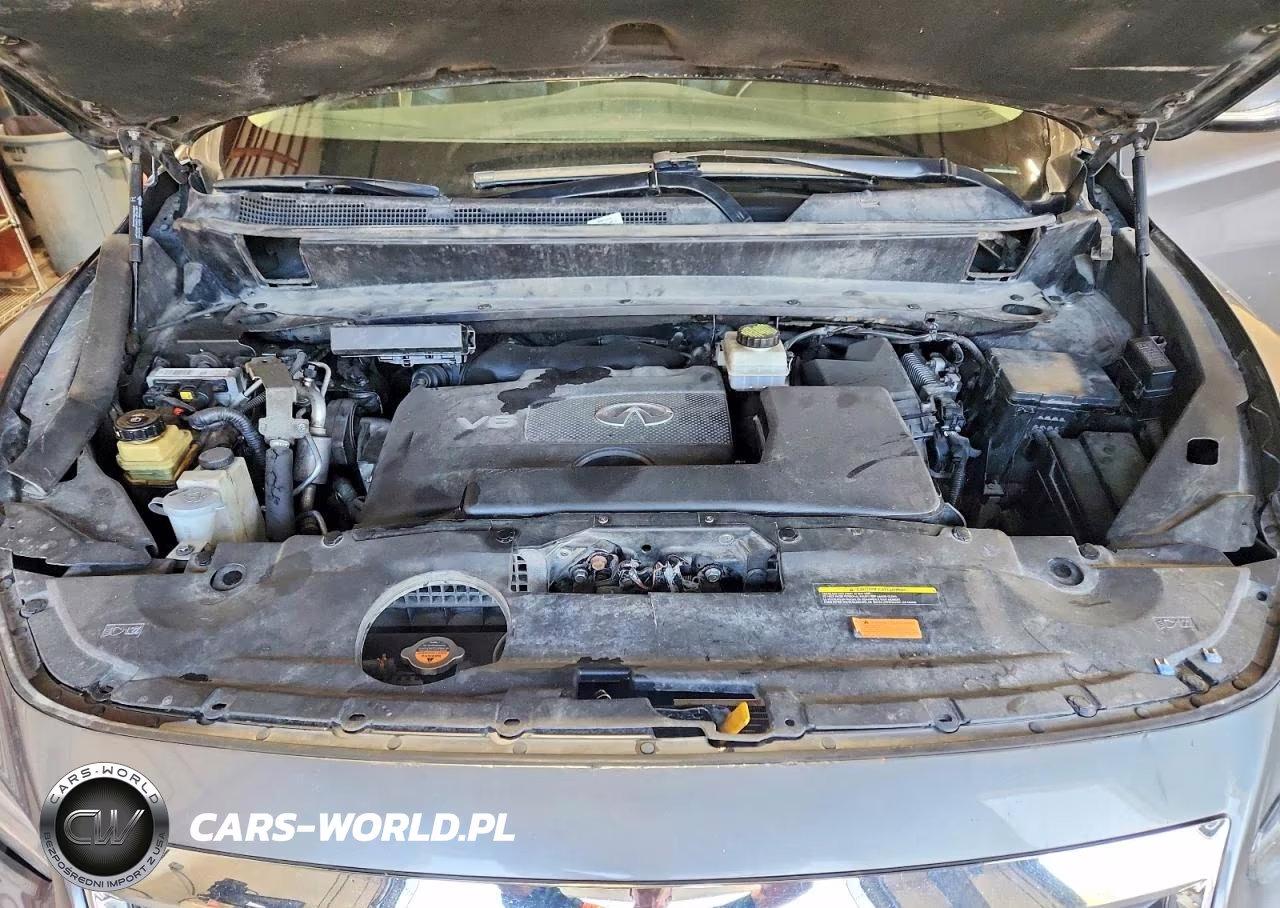 2020 Infiniti Qx60 Pure VIN:5N1DL0MM6LC530865 - 12