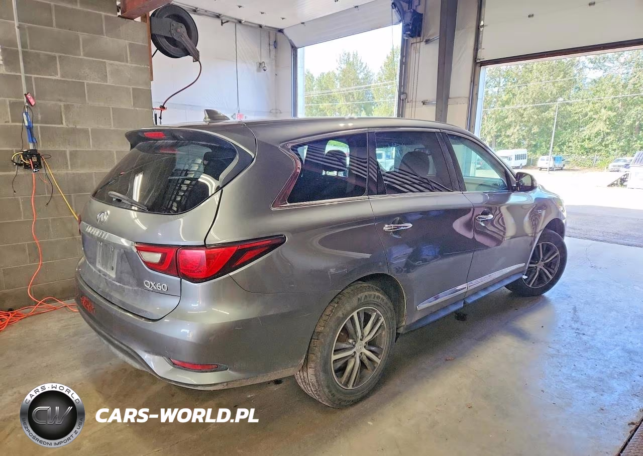 2020 Infiniti Qx60 Pure VIN:5N1DL0MM6LC530865 - 3