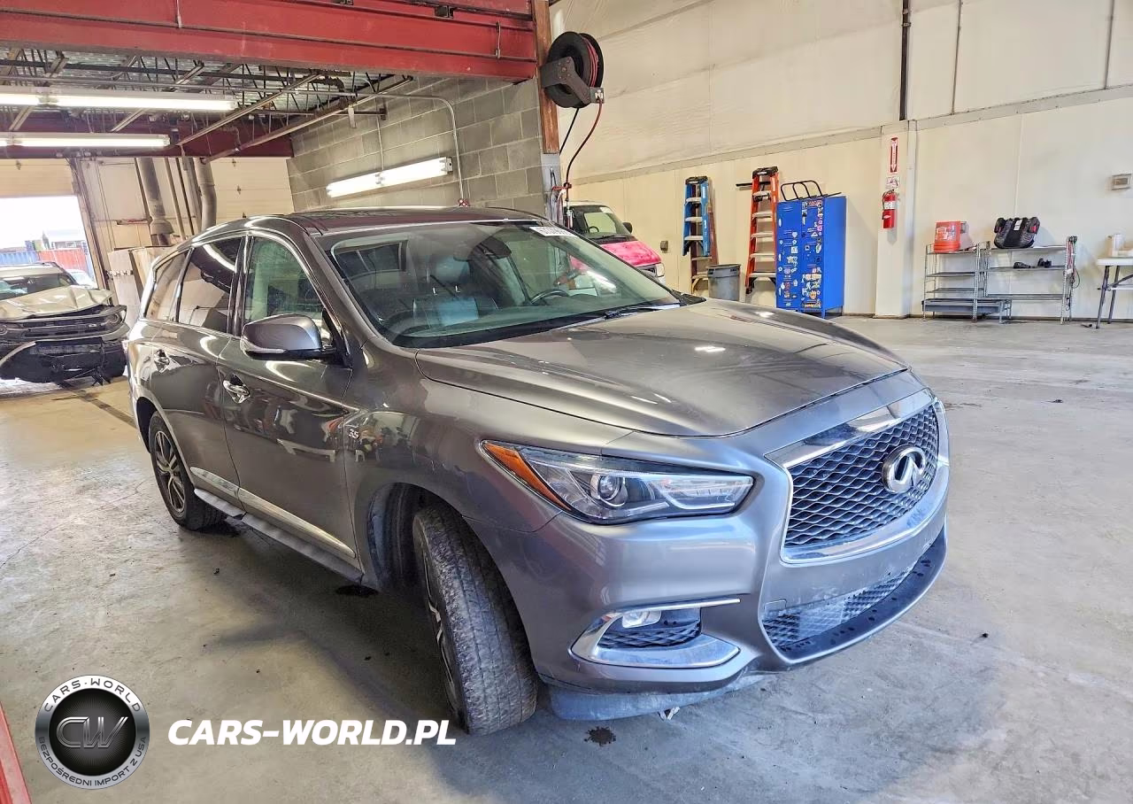 2020 Infiniti Qx60 Pure VIN:5N1DL0MM6LC530865 - 4