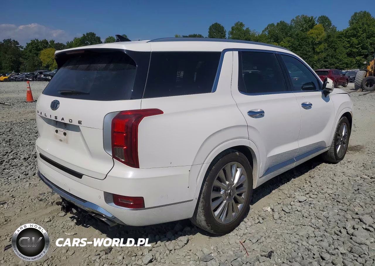2020 Hyundai Palisade Limited VIN:KM8R54HE6LU159114 - 3