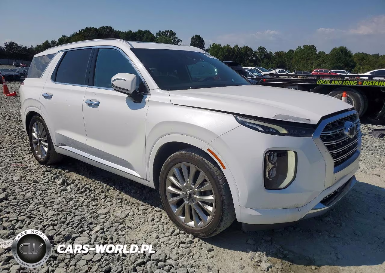2020 Hyundai Palisade Limited VIN:KM8R54HE6LU159114 - 4