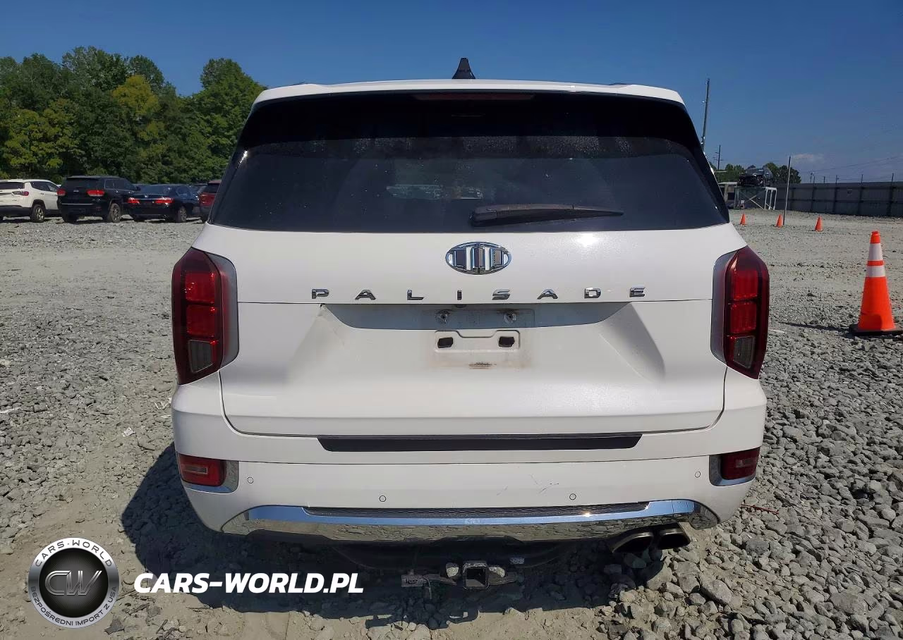 2020 Hyundai Palisade Limited VIN:KM8R54HE6LU159114 - 6