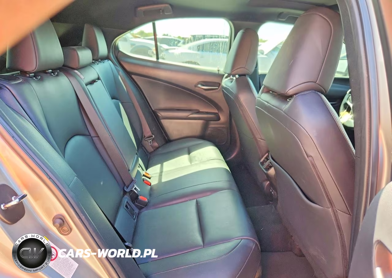 2019 Lexus Ux 200 VIN:JTHY3JBH1K2001117 - 10
