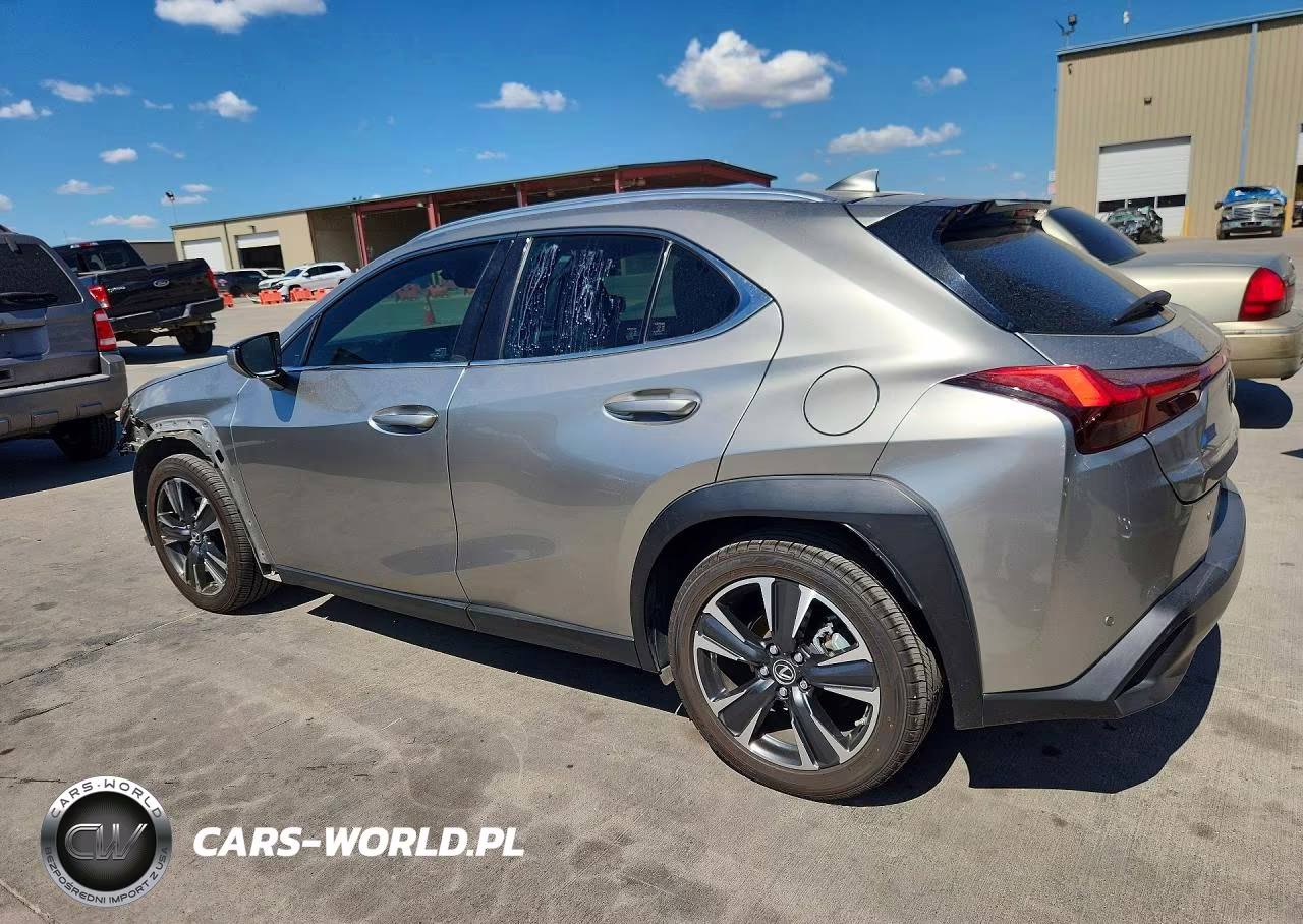 2019 Lexus Ux 200 VIN:JTHY3JBH1K2001117 - 2