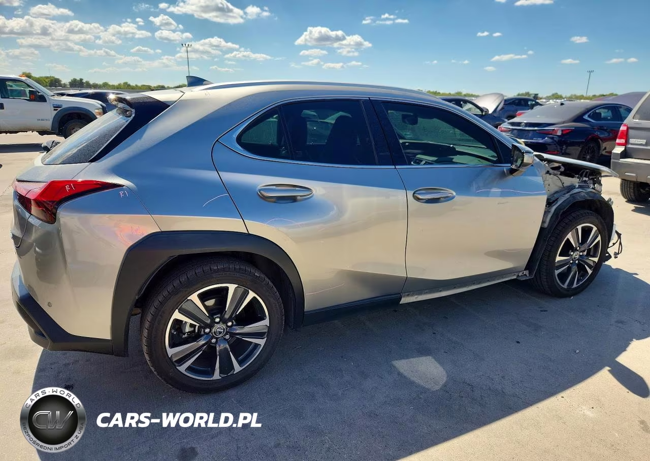2019 Lexus Ux 200 VIN:JTHY3JBH1K2001117 - 3
