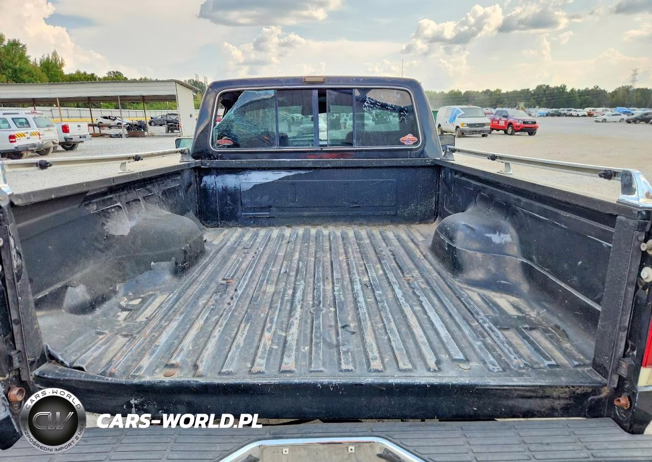 1989 Ford F150 VIN:1FTDF15N6KLA03769 - 10