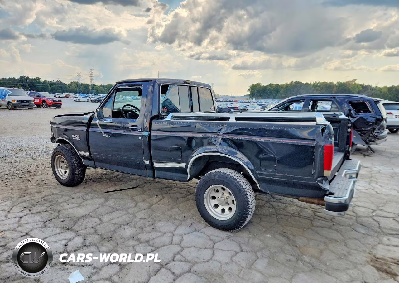 1989 Ford F150 VIN:1FTDF15N6KLA03769 - 2