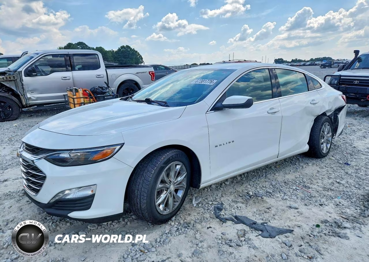 2019 Chevrolet Malibu Lt VIN:1G1ZD5ST8KF112957 - 1