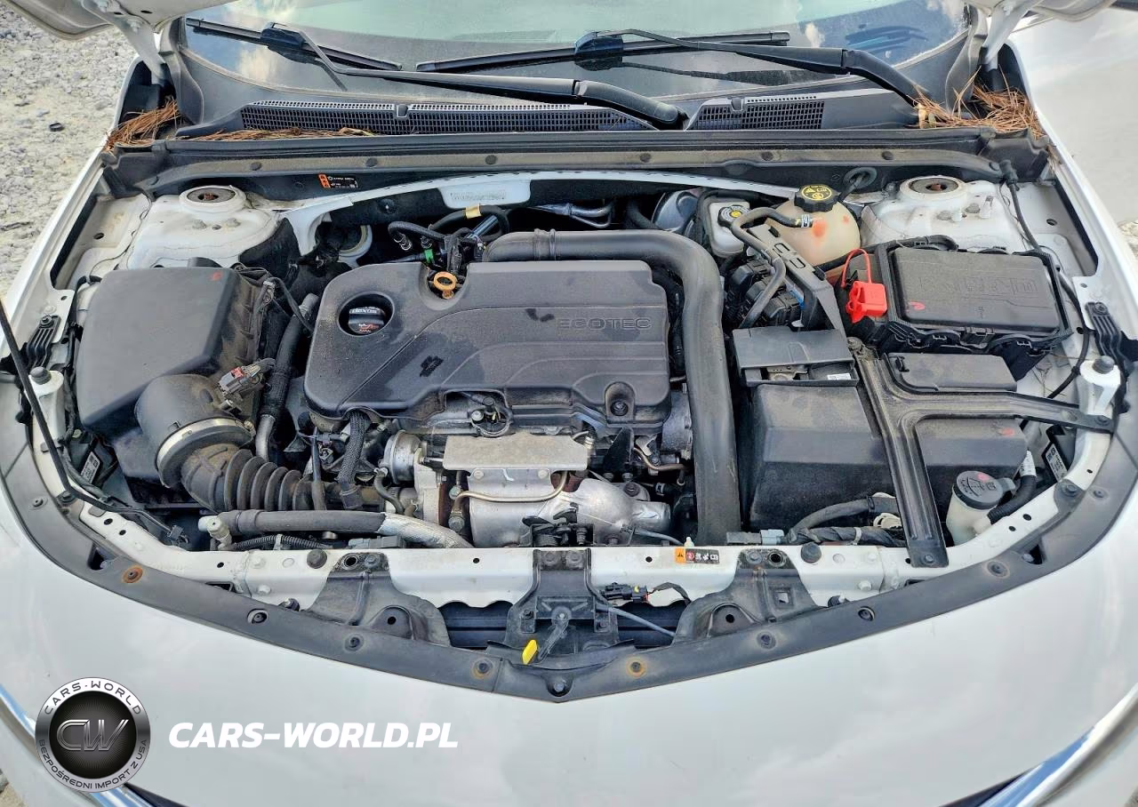 2019 Chevrolet Malibu Lt VIN:1G1ZD5ST8KF112957 - 11