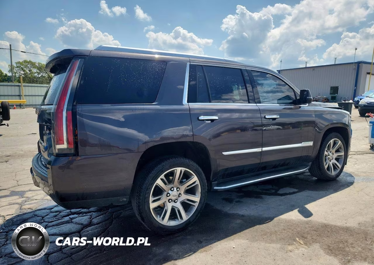 2015 Cadillac Escalade Luxury VIN:1GYS4MKJ3FR640888 - 3