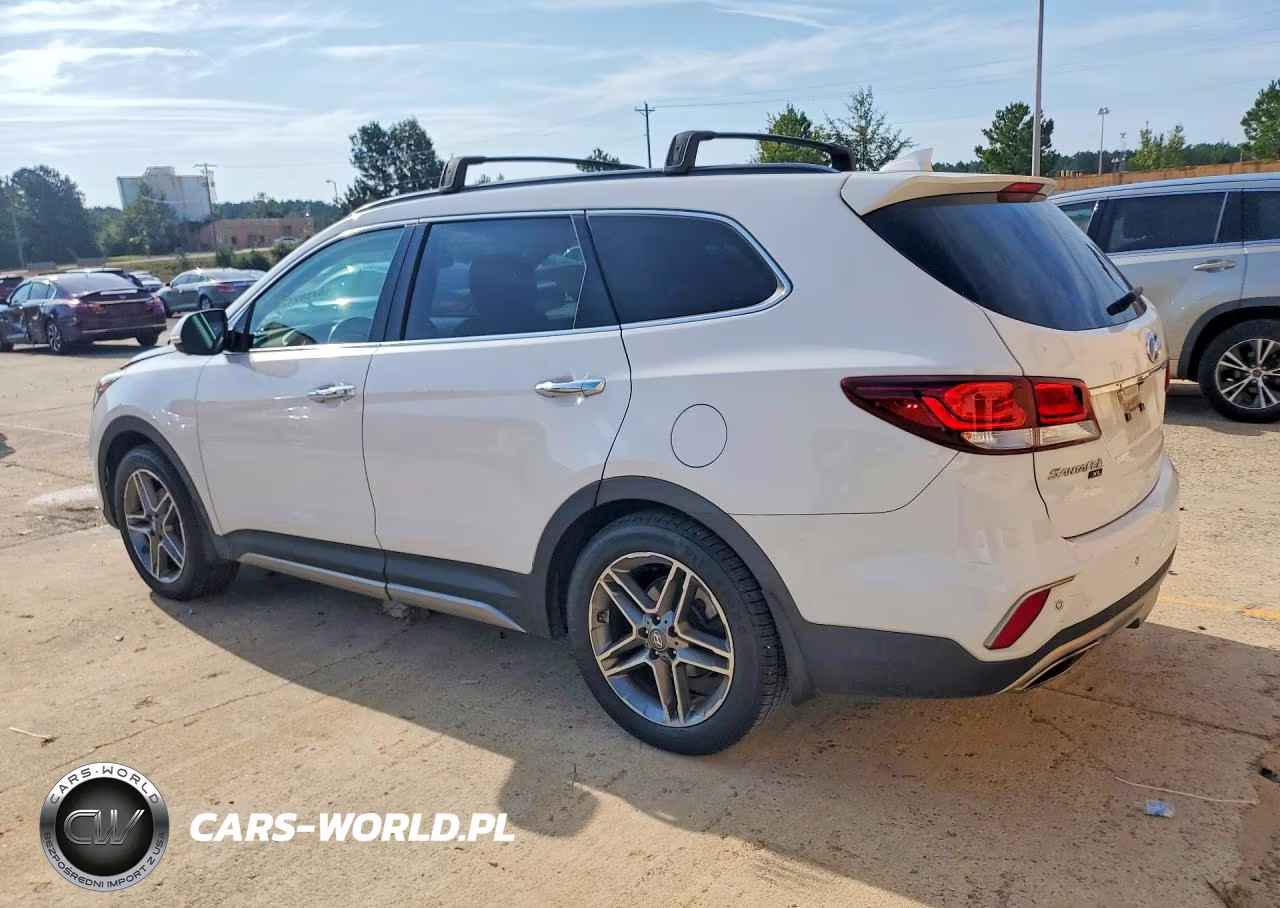 2019 Hyundai Santa Fe Xl Limited Ultimate VIN:KM8SR4HF4KU305619 - 2
