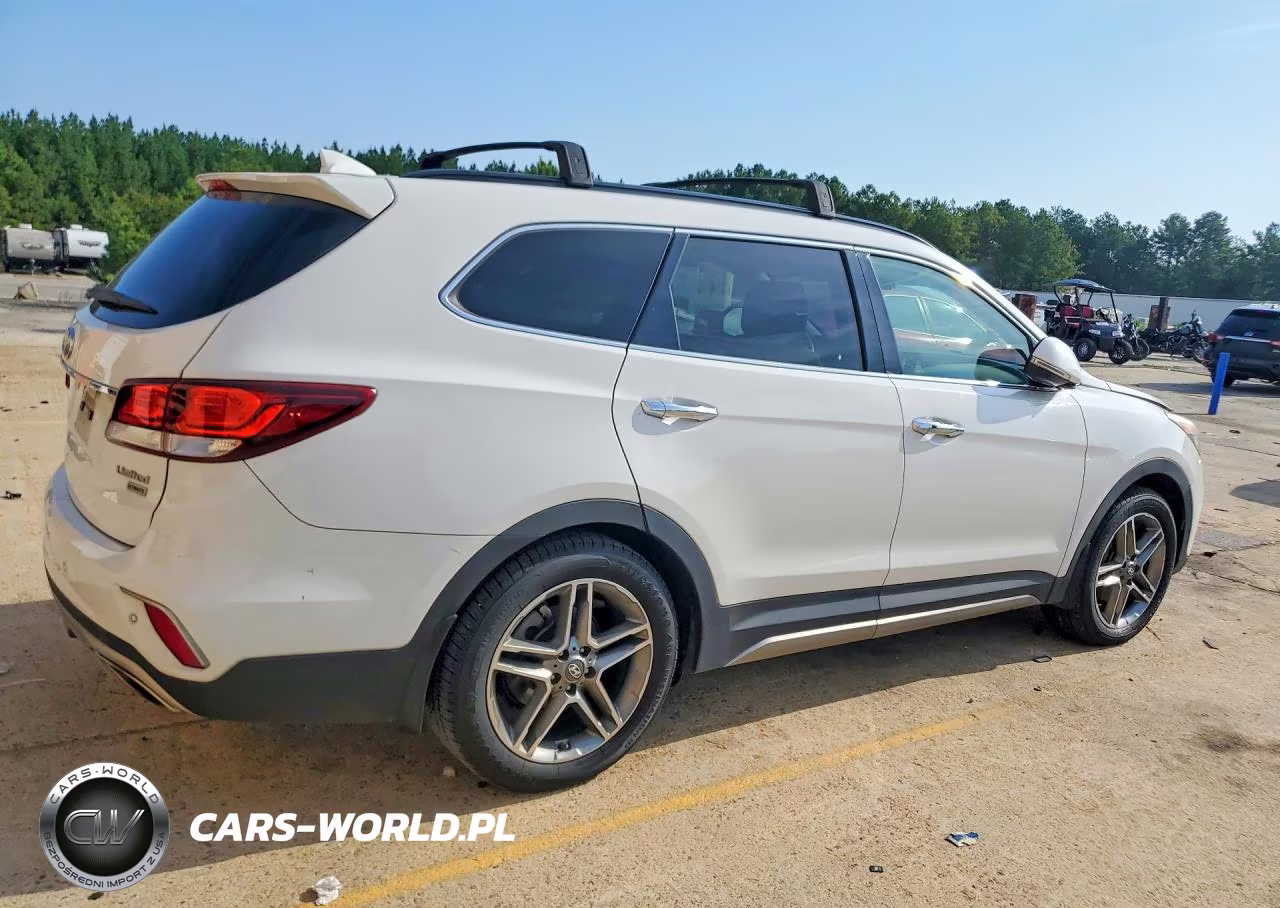 2019 Hyundai Santa Fe Xl Limited Ultimate VIN:KM8SR4HF4KU305619 - 3