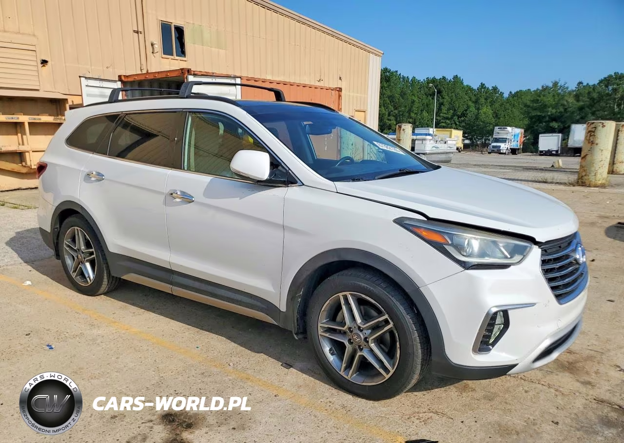 2019 Hyundai Santa Fe Xl Limited Ultimate VIN:KM8SR4HF4KU305619 - 4