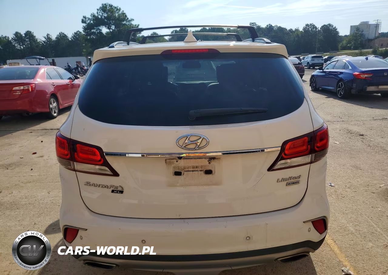 2019 Hyundai Santa Fe Xl Limited Ultimate VIN:KM8SR4HF4KU305619 - 6