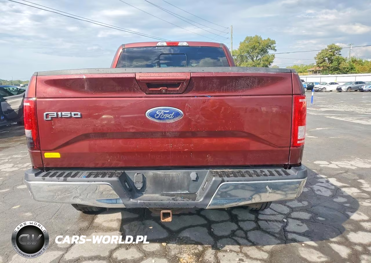 2016 Ford F150 Supercrew VIN:1FTEW1CG6GFB21836 - 6