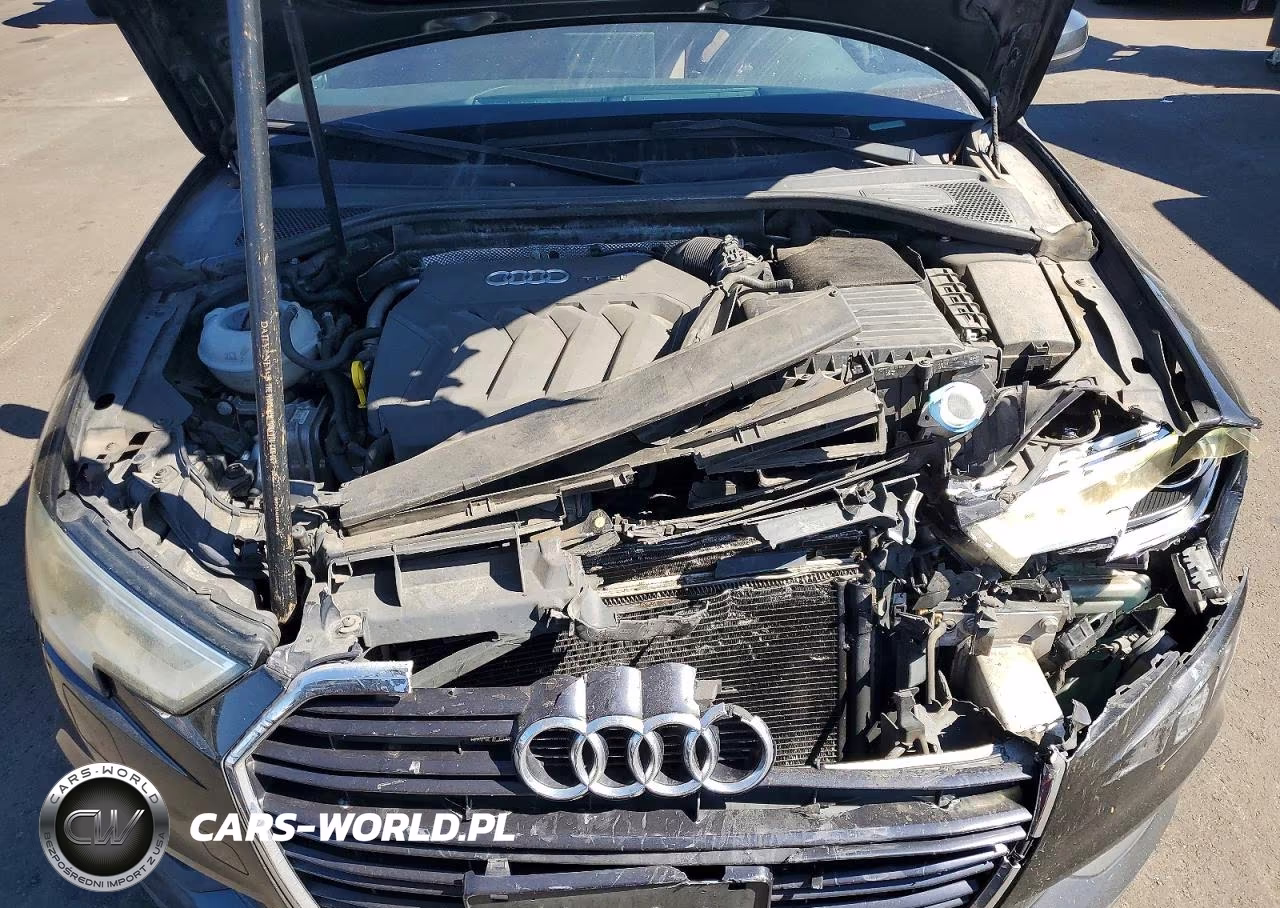 2017 Audi A3 Premium VIN:WAUAUGFF7H1037904 - 11