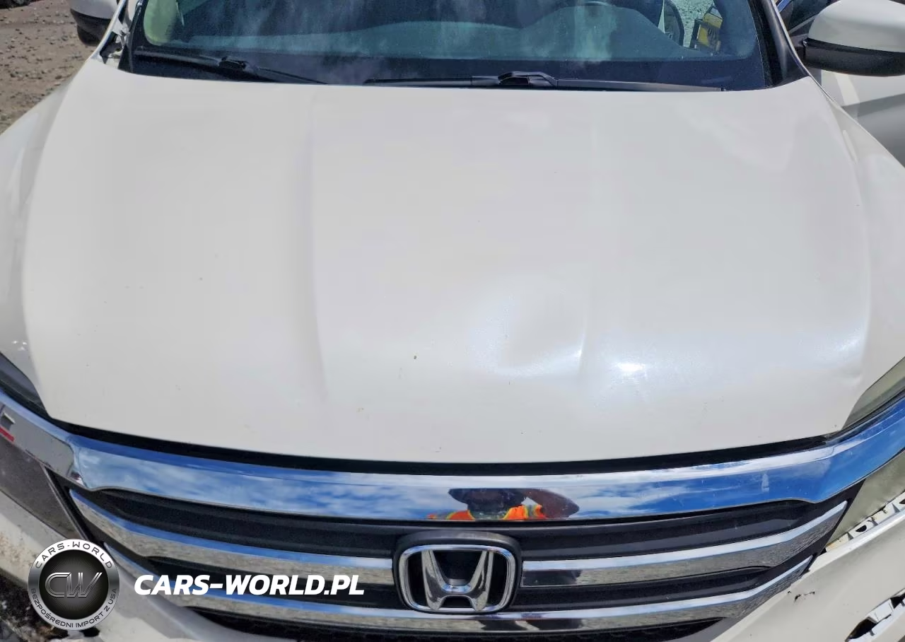 2016 Honda Pilot Ex VIN:5FNYF5H34GB012158 - 12