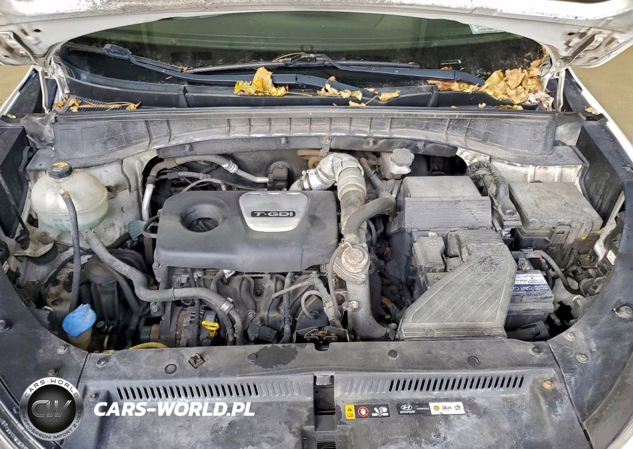 2017 Hyundai Tucson Limited VIN:KM8J3CA27HU295885 - 12