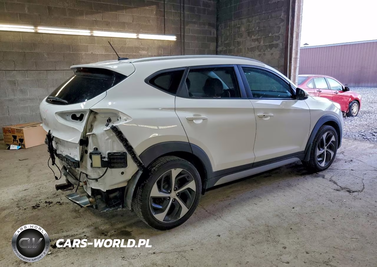 2017 Hyundai Tucson Limited VIN:KM8J3CA27HU295885 - 3
