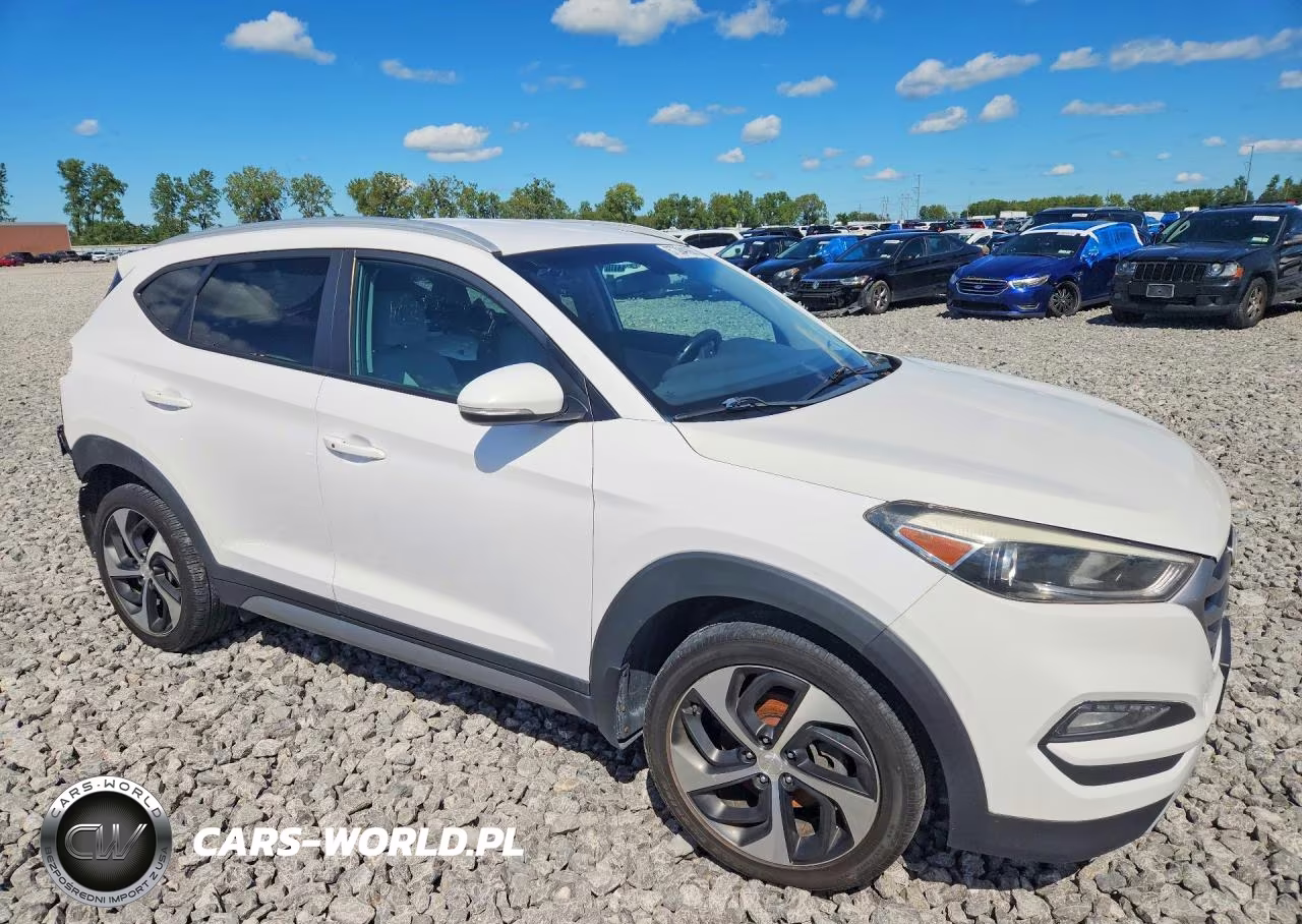 2017 Hyundai Tucson Limited VIN:KM8J3CA27HU295885 - 4