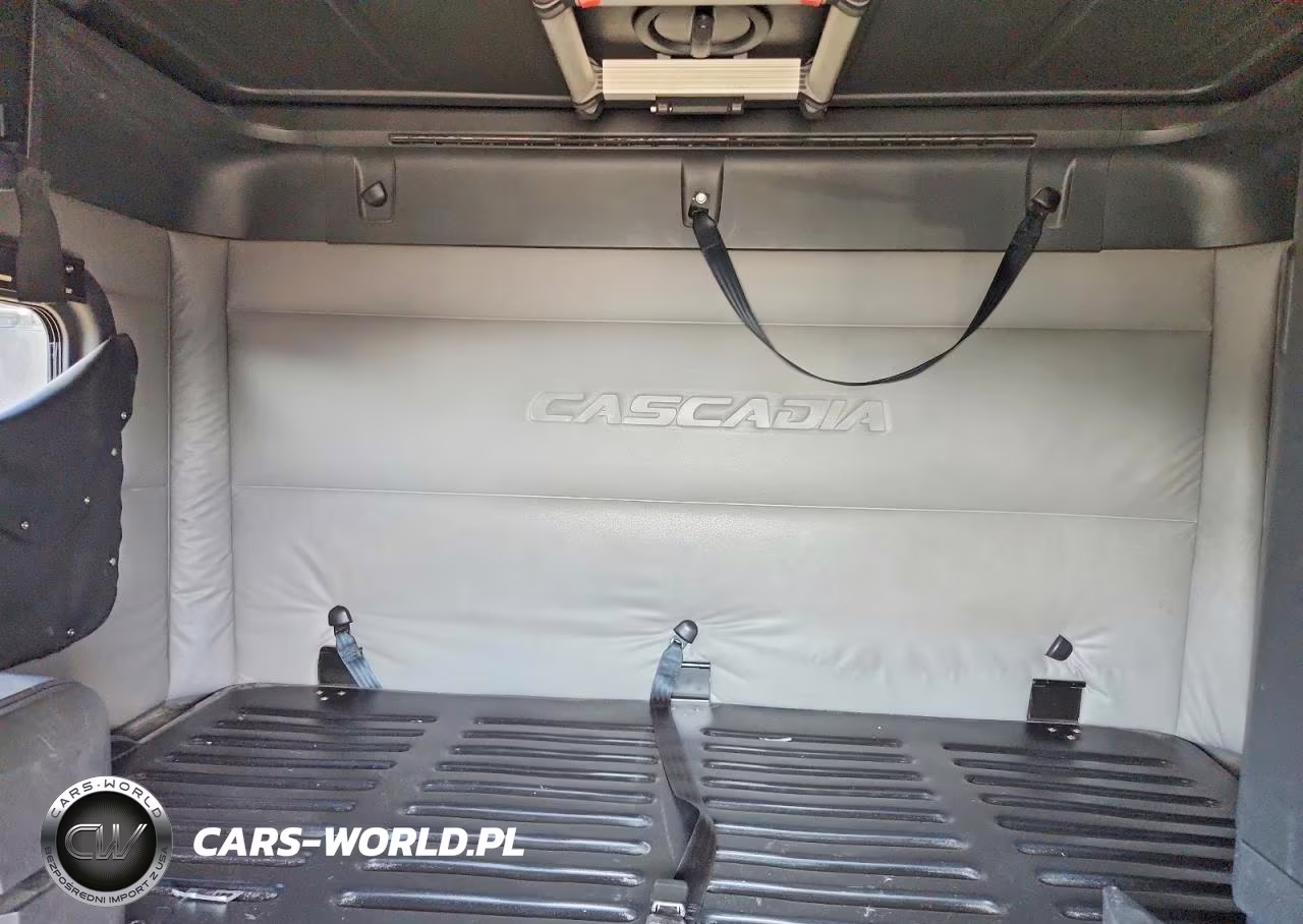 2018 Freightliner Cascadia 126 VIN:3AKJHHDR2JSJJ0386 - 10
