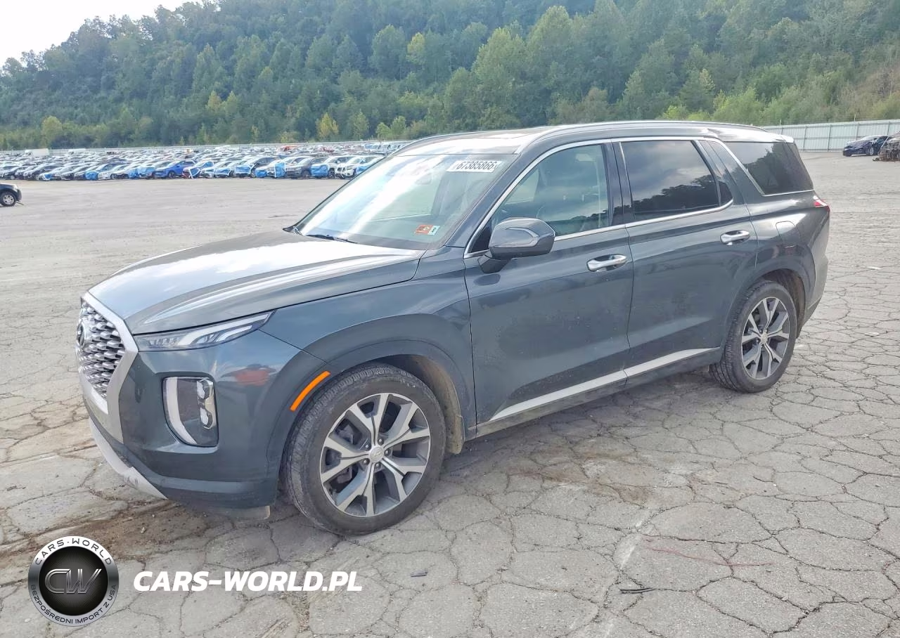 2022 Hyundai Palisade Sel VIN:KM8R4DHE0NU472262 - 1