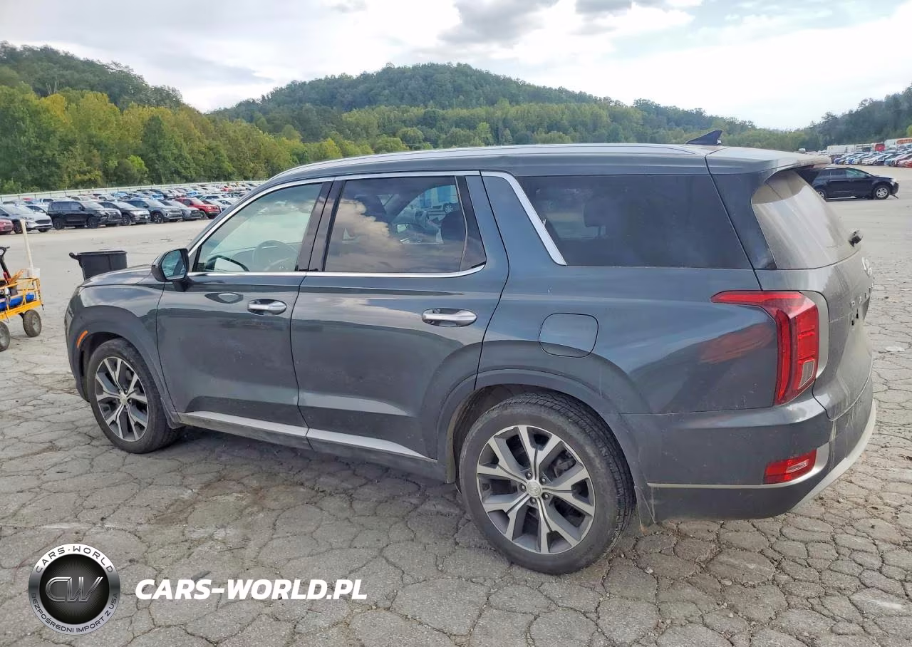 2022 Hyundai Palisade Sel VIN:KM8R4DHE0NU472262 - 2