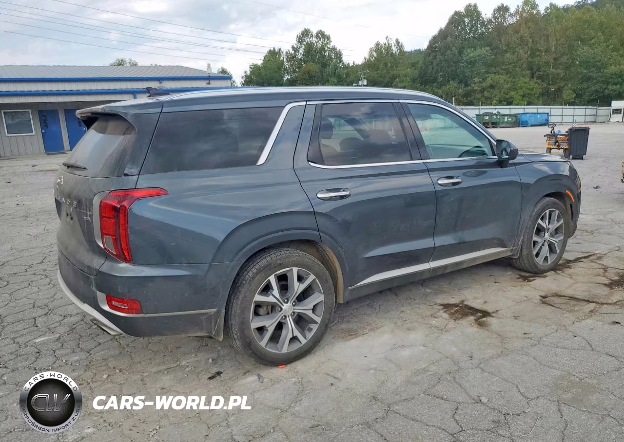 2022 Hyundai Palisade Sel VIN:KM8R4DHE0NU472262 - 3