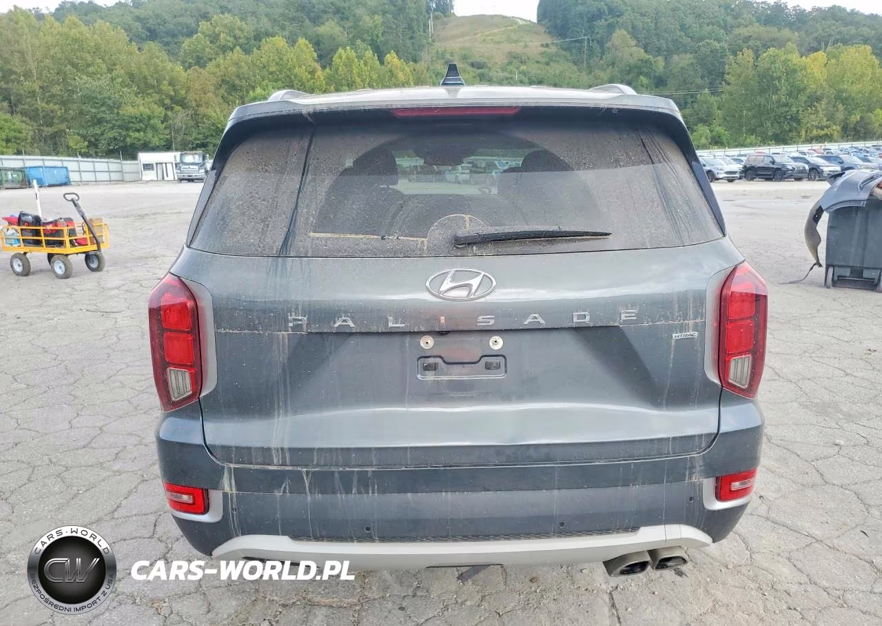 2022 Hyundai Palisade Sel VIN:KM8R4DHE0NU472262 - 6