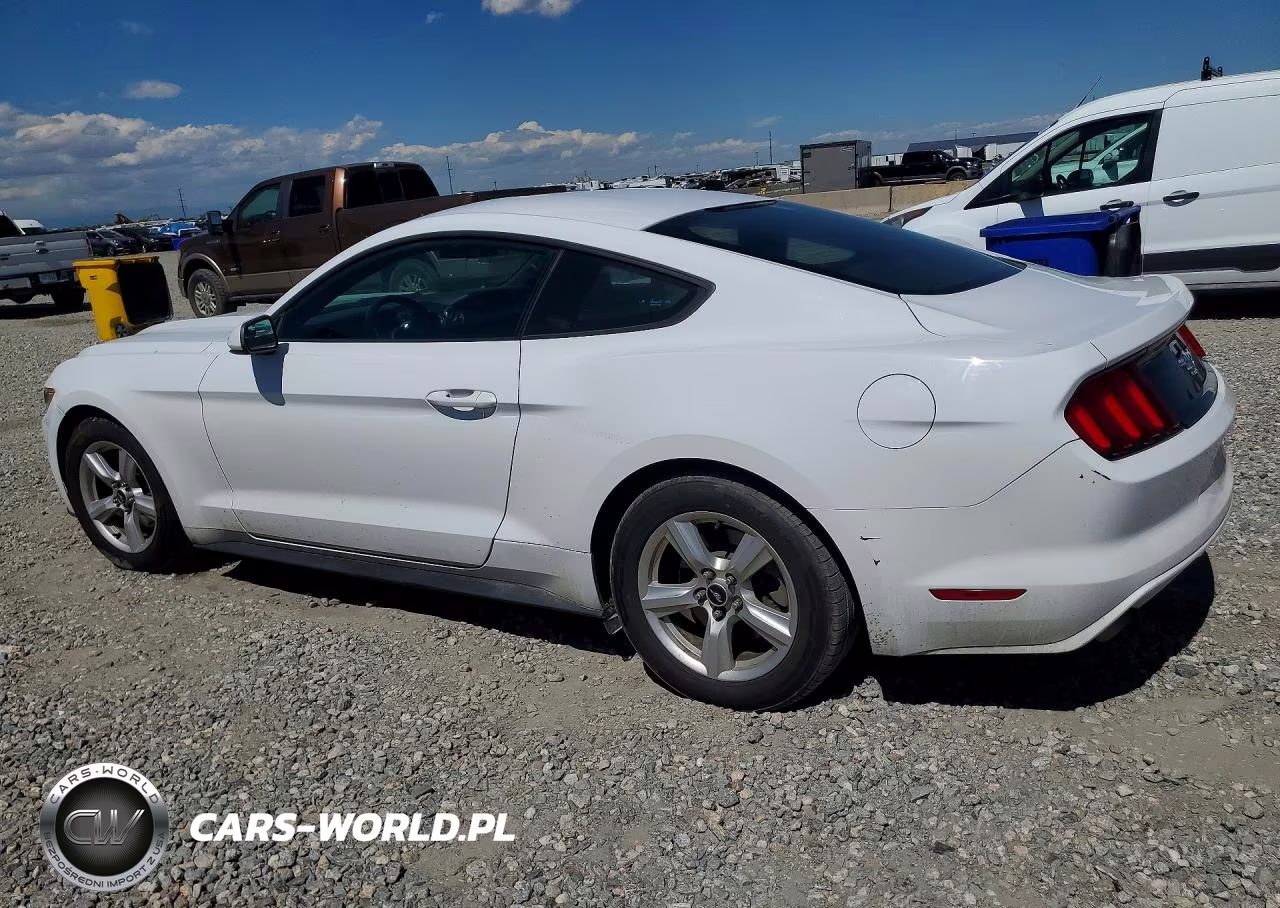 2016 Ford Mustang VIN:1FA6P8AM4G5273497 - 2