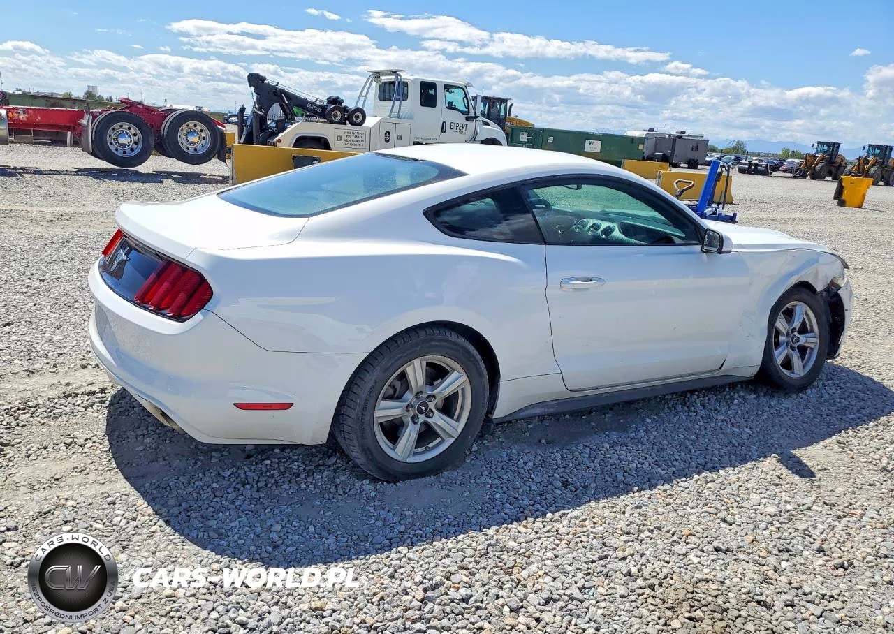 2016 Ford Mustang VIN:1FA6P8AM4G5273497 - 3