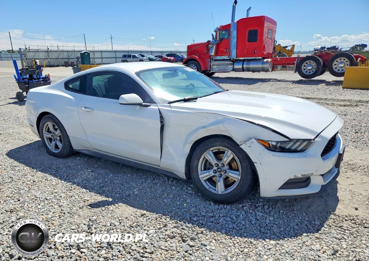 2016 Ford Mustang VIN:1FA6P8AM4G5273497 - 4