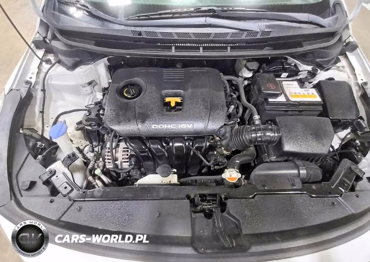 2018 Kia Forte Lx VIN:3KPFL4A77JE210639 - 11