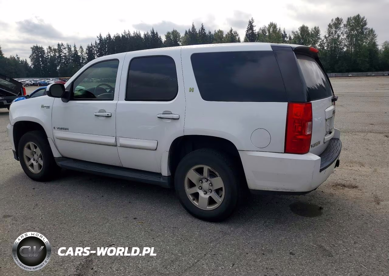 2009 GMC Yukon Hybrid VIN:1GKFK13539R106229 - 2