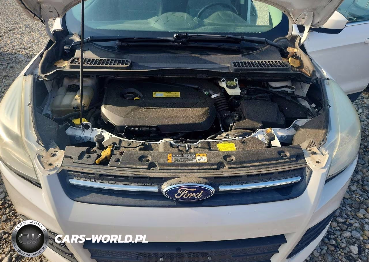 2013 Ford Escape Se VIN:1FMCU9GX9DUD89594 - 12