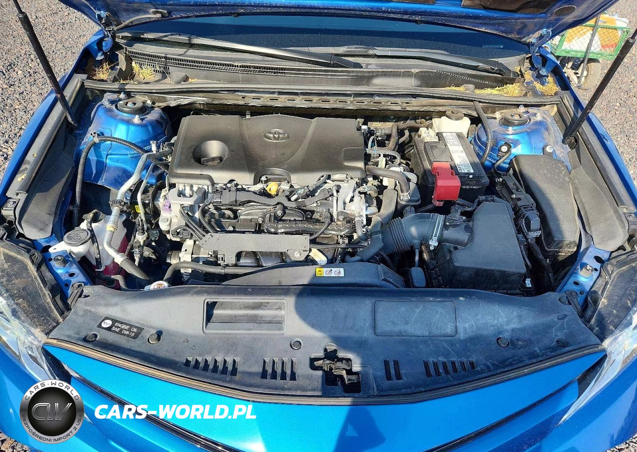 2019 Toyota Camry Le VIN:4T1B11HK3KU160964 - 11