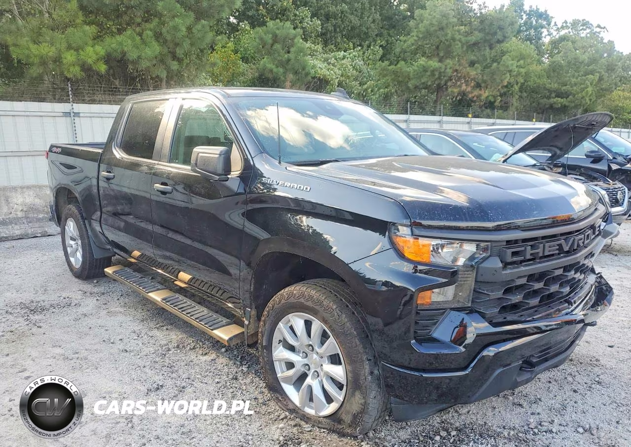 2022 Chevrolet Silverado K1500 Custom VIN:1GCPDBEK5NZ552248 - 4