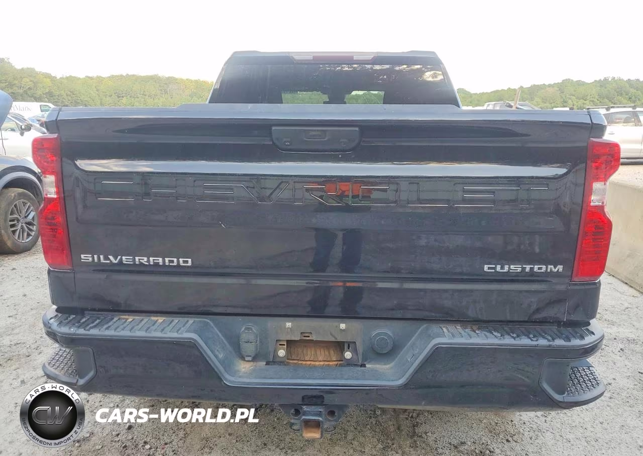 2022 Chevrolet Silverado K1500 Custom VIN:1GCPDBEK5NZ552248 - 6