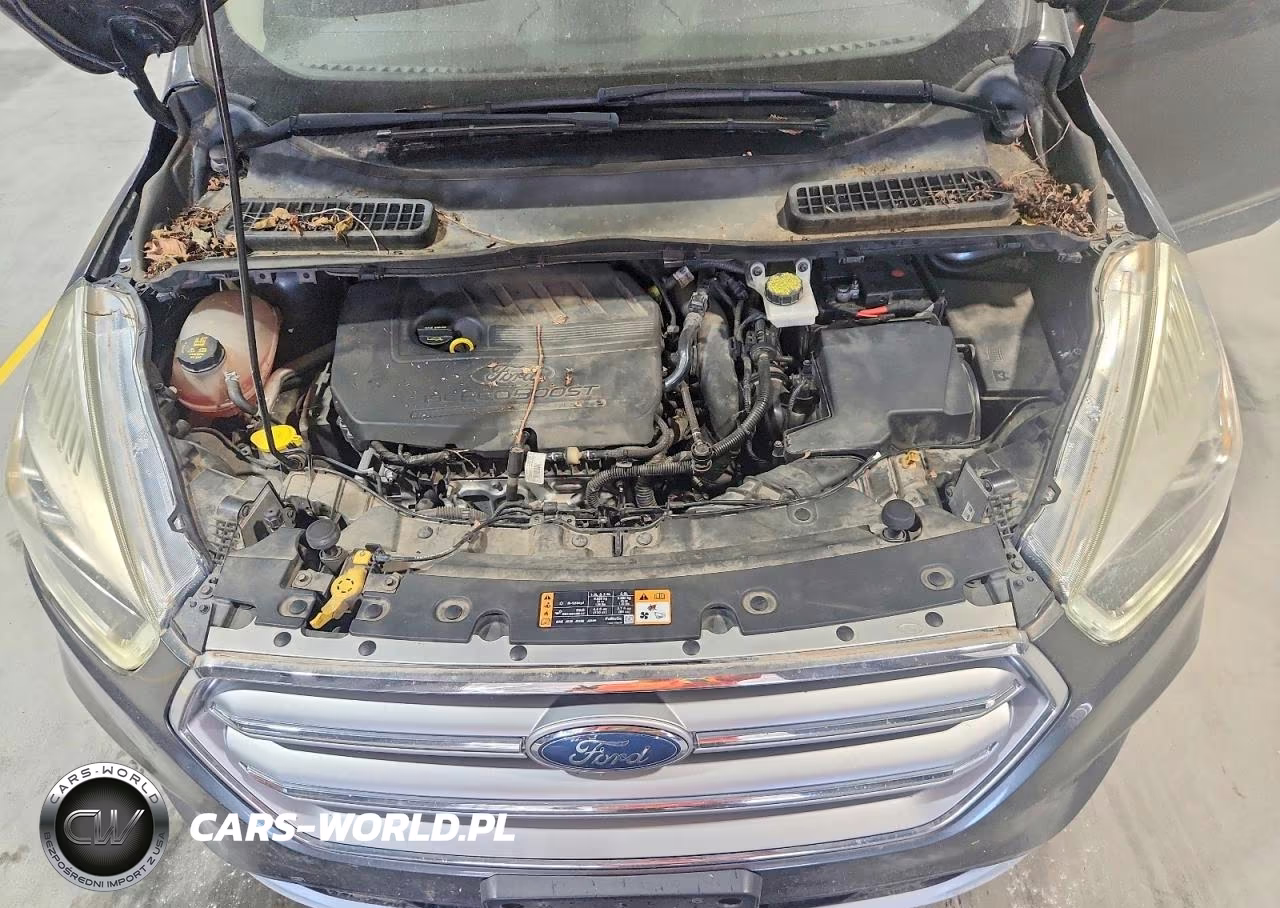 2017 Ford Escape Titanium VIN:1FMCU0JDXHUB82843 - 12