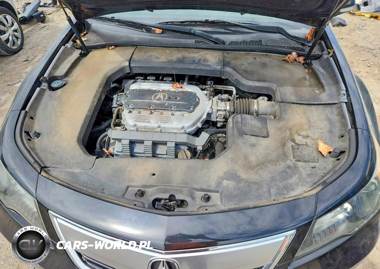 2012 Acura Tl VIN:19UUA8F25CA019763 - 11