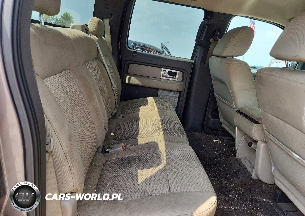 2009 Ford F150 Supercrew VIN:1FTRW12819FB10533 - 10
